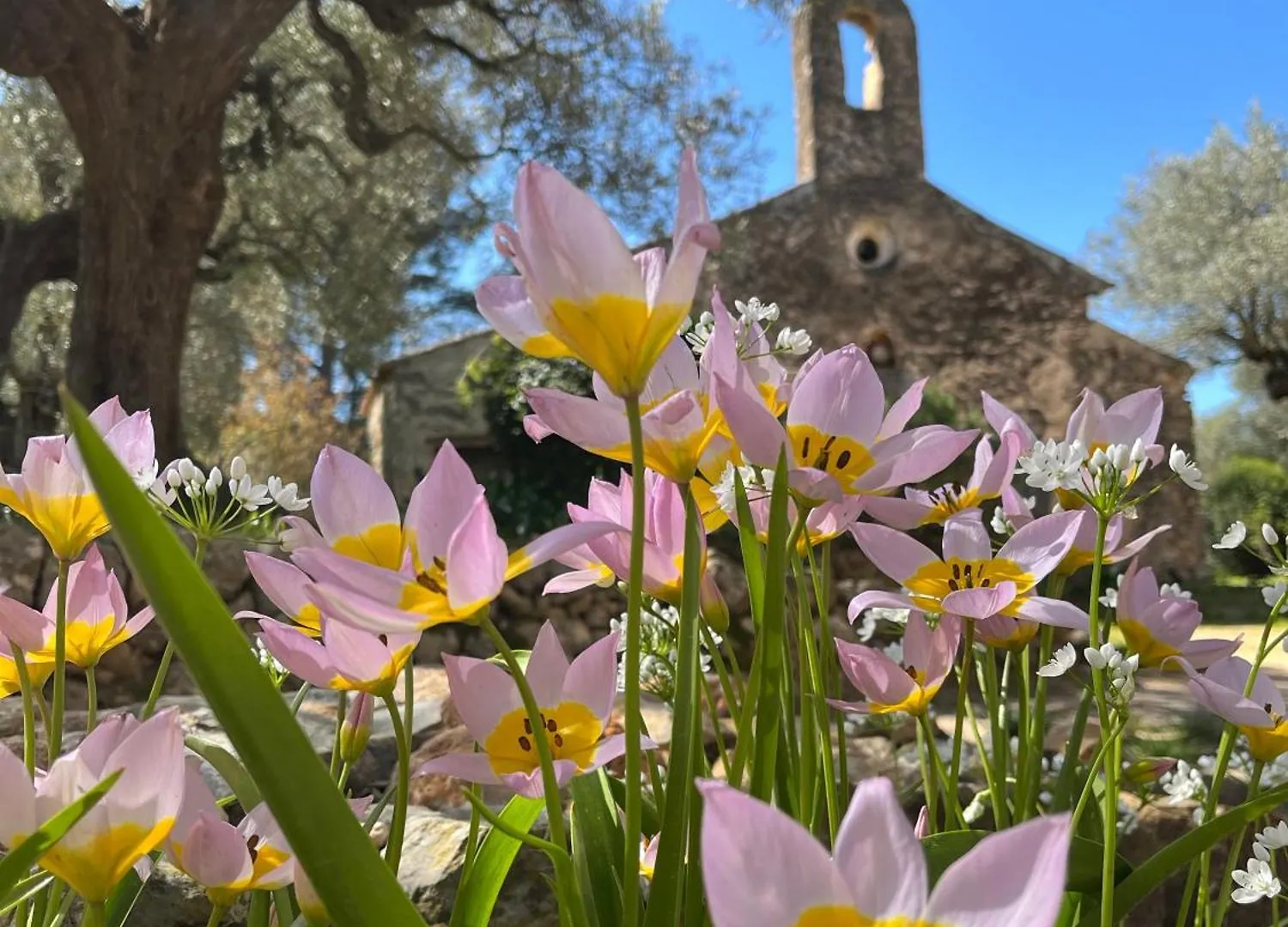 Bed and Breakfast Bastide Sainte Trinide Sanary-sur-Mer