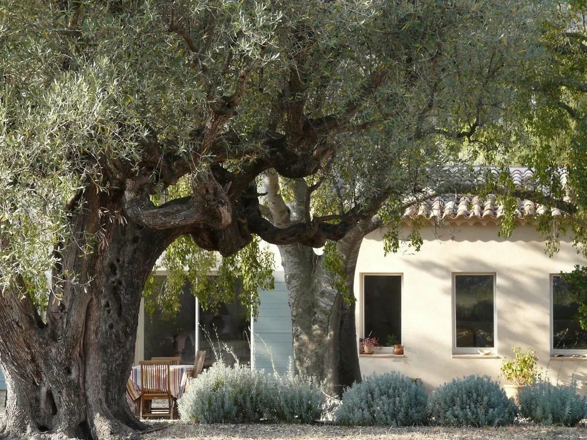 Bed and Breakfast Bastide Sainte Trinide Sanary-sur-Mer