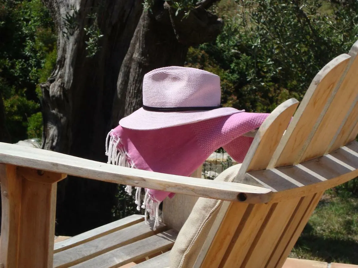 Bed and Breakfast Bastide Sainte Trinide Sanary-sur-Mer Francia