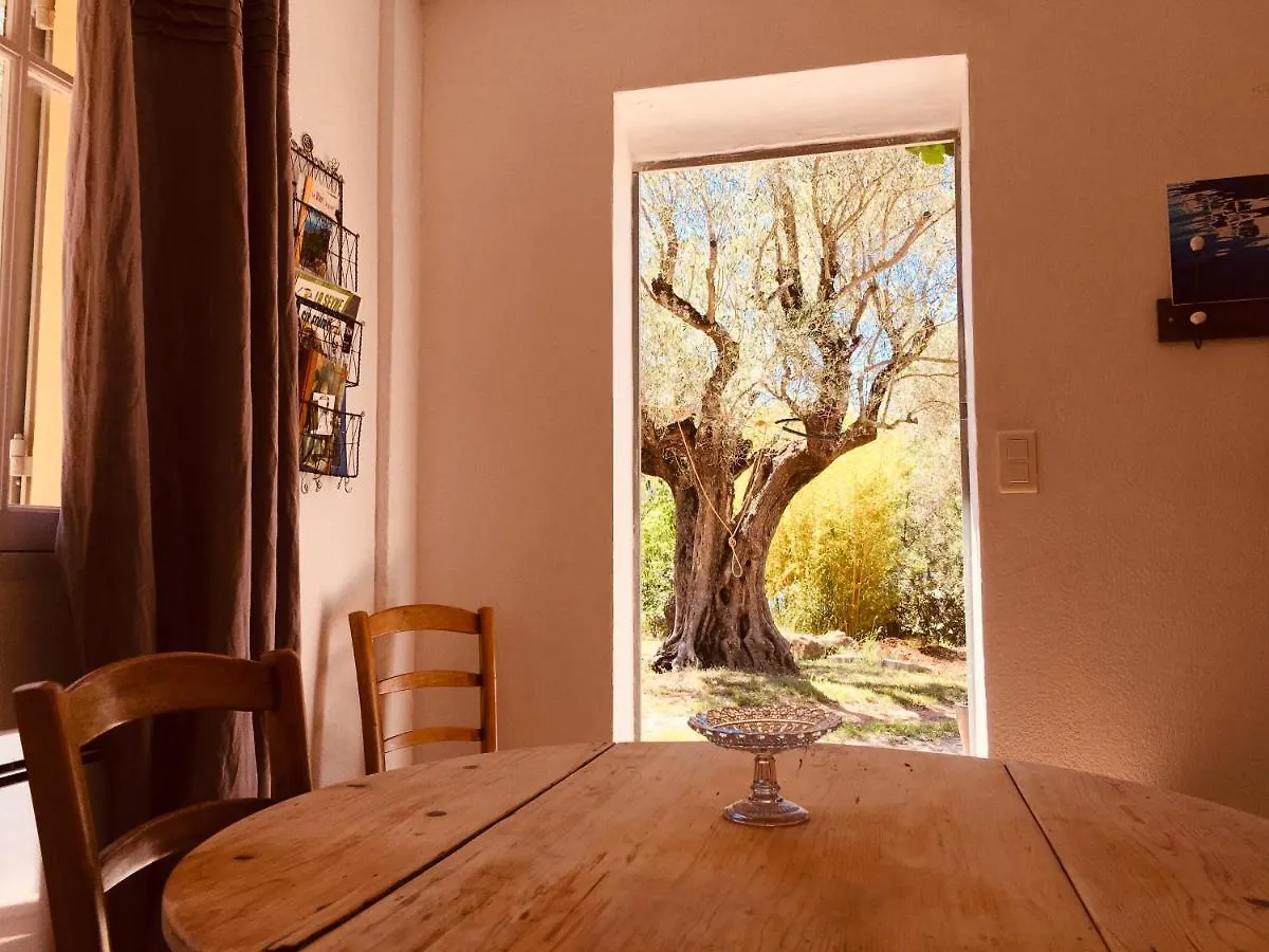 Bed and Breakfast Bastide Sainte Trinide à Sanary-sur-Mer France